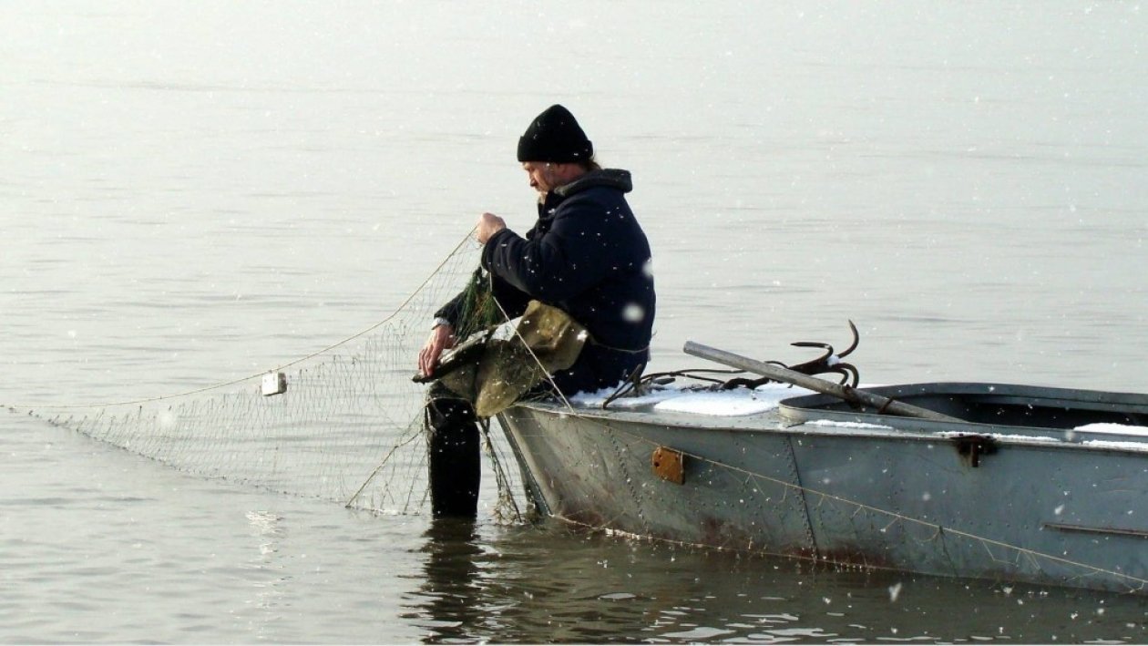 Любительское рыболовство