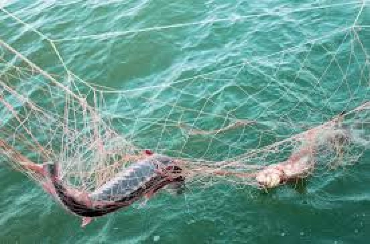 Действуют ограничения для любителей рыбной ловли