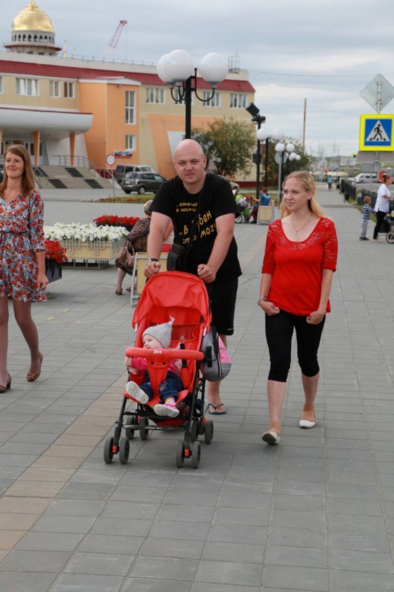 Москитная сетка больше не угроза