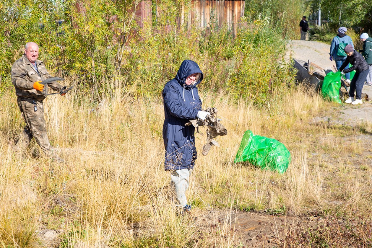 Пять мешков мусора за минуты