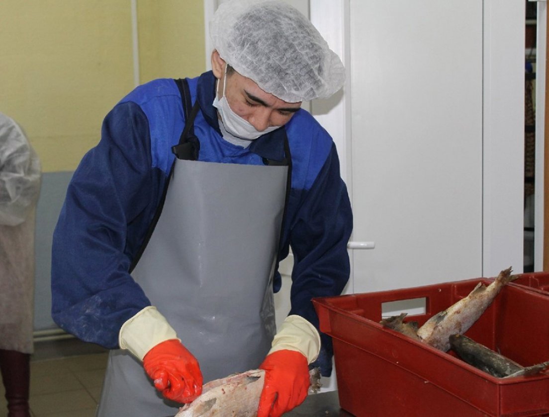 Ловись, ямальский деликатес