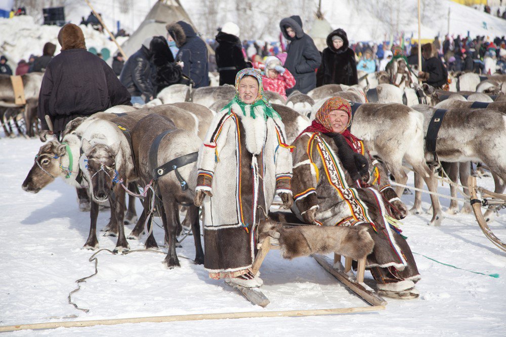 Краса и гордость тундры