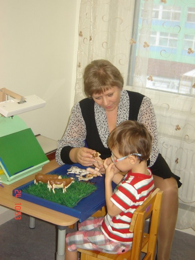 Детский сад с изюминкой